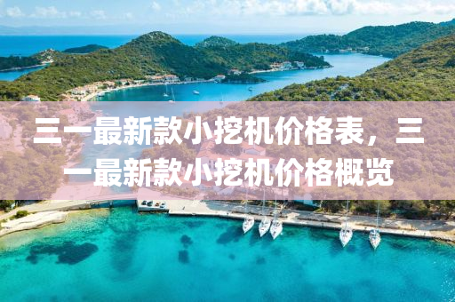 三一最新款小挖機價格表，三一最新款小挖機價格概覽