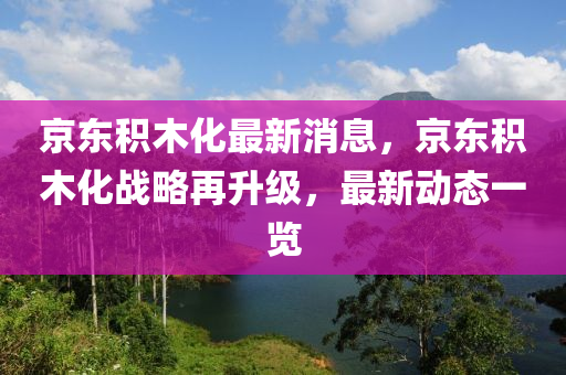 京東積木化最新消息，京東積木化戰(zhàn)略再升級，最新動態(tài)一覽