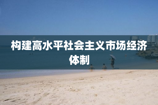 構(gòu)建高水平社會主義市場經(jīng)濟體制