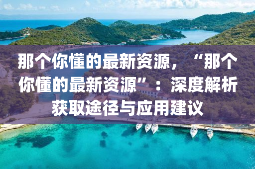 那個(gè)你懂的最新資源，“那個(gè)你懂的最新資源”：深度解析獲取途徑與應(yīng)用建議