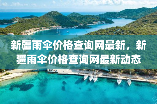 新疆雨傘價(jià)格查詢網(wǎng)最新，新疆雨傘價(jià)格查詢網(wǎng)最新動(dòng)態(tài)
