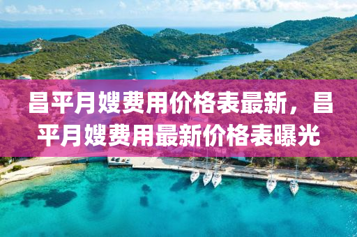 2025年3月20日 第84頁(yè)