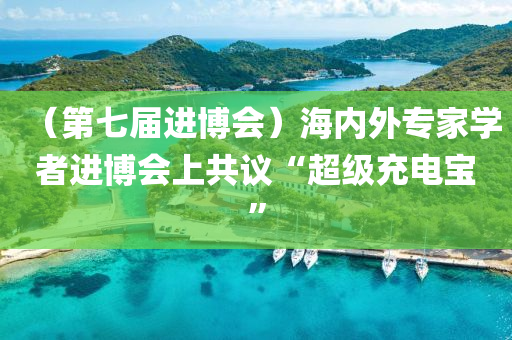 （第七屆進(jìn)博會）海內(nèi)外專家學(xué)者進(jìn)博會上共議“超級充電寶”