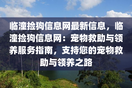 臨潼撿狗信息網(wǎng)最新信息，臨潼撿狗信息網(wǎng)：寵物救助與領(lǐng)養(yǎng)服務(wù)指南，支持您的寵物救助與領(lǐng)養(yǎng)之路