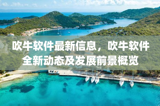 吹牛軟件最新信息，吹牛軟件全新動(dòng)態(tài)及發(fā)展前景概覽