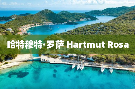 哈特穆特·羅薩 Hartmut Rosa