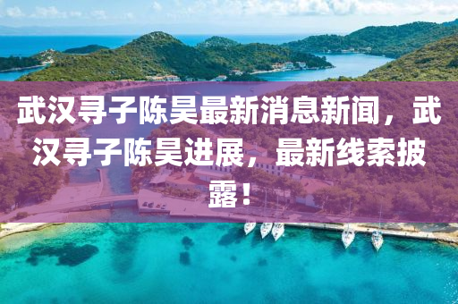 武漢尋子陳昊最新消息新聞，武漢尋子陳昊進(jìn)展，最新線索披露！