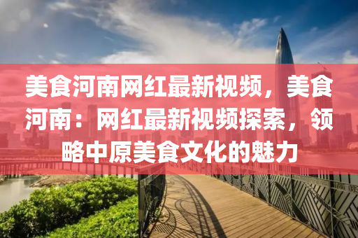 美食河南網(wǎng)紅最新視頻，美食河南：網(wǎng)紅最新視頻探索，領(lǐng)略中原美食文化的魅力