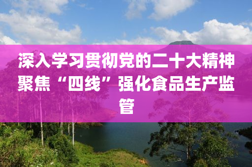 深入學(xué)習(xí)貫徹黨的二十大精神聚焦“四線”強(qiáng)化食品生產(chǎn)監(jiān)管