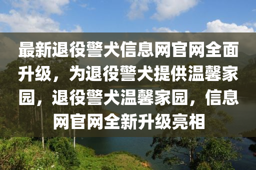最新退役警犬信息網(wǎng)官網(wǎng)全面升級(jí)，為退役警犬提供溫馨家園，退役警犬溫馨家園，信息網(wǎng)官網(wǎng)全新升級(jí)亮相