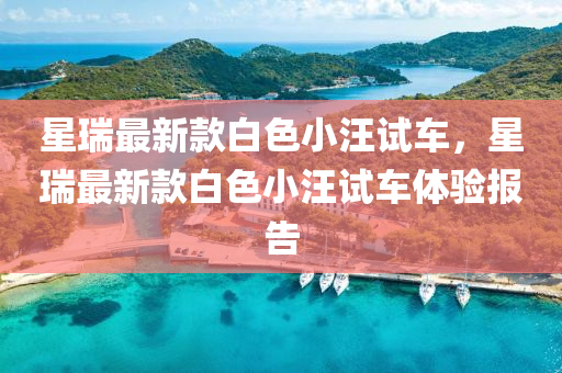 星瑞最新款白色小汪試車，星瑞最新款白色小汪試車體驗報告