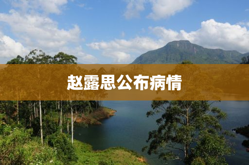 趙露思公布病情