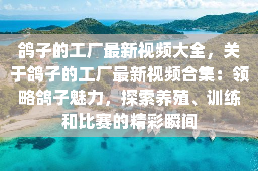 鴿子的工廠最新視頻大全，關(guān)于鴿子的工廠最新視頻合集：領(lǐng)略鴿子魅力，探索養(yǎng)殖、訓(xùn)練和比賽的精彩瞬間