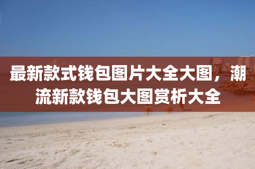 最新款式錢(qián)包圖片大全大圖，潮流新款錢(qián)包大圖賞析大全
