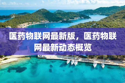 醫(yī)藥物聯(lián)網(wǎng)最新版，醫(yī)藥物聯(lián)網(wǎng)最新動態(tài)概覽