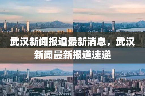 武漢新聞報道最新消息，武漢新聞最新報道速遞