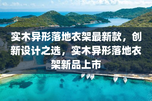 實(shí)木異形落地衣架最新款，創(chuàng)新設(shè)計(jì)之選，實(shí)木異形落地衣架新品上市