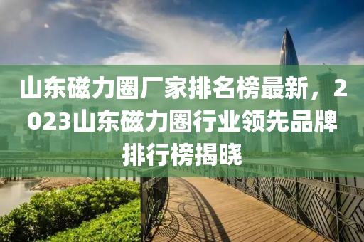 山東磁力圈廠家排名榜最新，2023山東磁力圈行業(yè)領(lǐng)先品牌排行榜揭曉