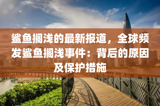 鯊魚擱淺的最新報道，全球頻發(fā)鯊魚擱淺事件：背后的原因及保護(hù)措施