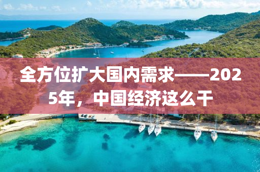 全方位擴大國內需求——2025年，中國經濟這么干