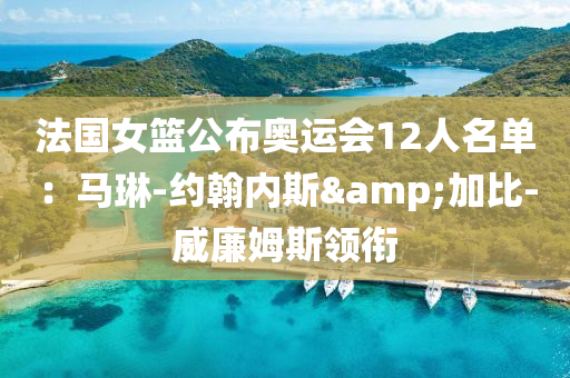 法國女籃公布奧運會12人名單：馬琳-約翰內(nèi)斯&加比-威廉姆斯領(lǐng)銜