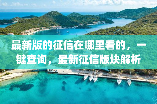 最新版的征信在哪里看的，一鍵查詢，最新征信版塊解析