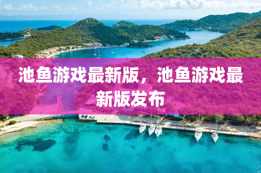 池魚游戲最新版，池魚游戲最新版發(fā)布