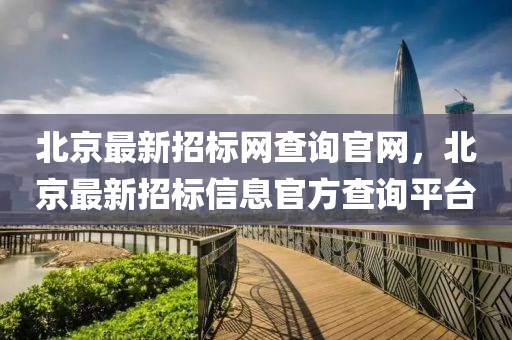 北京最新招標(biāo)網(wǎng)查詢官網(wǎng)，北京最新招標(biāo)信息官方查詢平臺(tái)