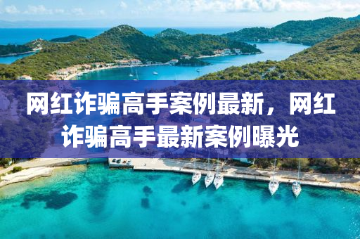 網紅詐騙高手案例最新，網紅詐騙高手最新案例曝光
