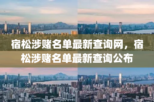 宿松涉賭名單最新查詢網(wǎng)，宿松涉賭名單最新查詢公布