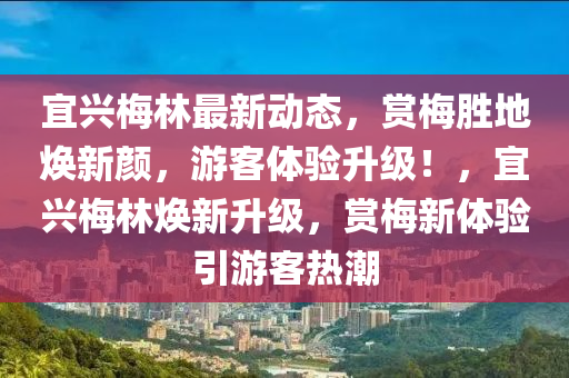 宜興梅林最新動(dòng)態(tài)，賞梅勝地?zé)ㄐ骂?，游客體驗(yàn)升級(jí)！，宜興梅林煥新升級(jí)，賞梅新體驗(yàn)引游客熱潮