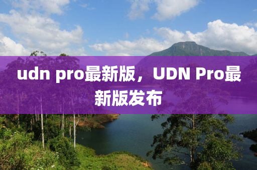 udn pro最新版，UDN Pro最新版發(fā)布