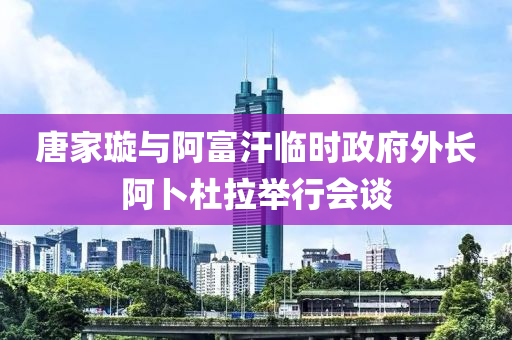 唐家璇與阿富汗臨時政府外長阿卜杜拉舉行會談