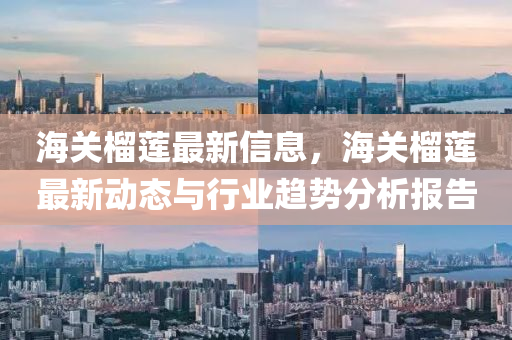 海關(guān)榴蓮最新信息，海關(guān)榴蓮最新動(dòng)態(tài)與行業(yè)趨勢分析報(bào)告