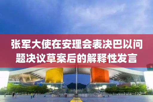 張軍大使在安理會表決巴以問題決議草案后的解釋性發(fā)言