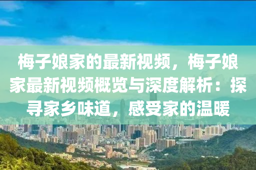 梅子娘家的最新視頻，梅子娘家最新視頻概覽與深度解析：探尋家鄉(xiāng)味道，感受家的溫暖