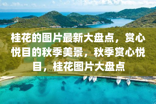 yangxinhong 第9頁(yè)