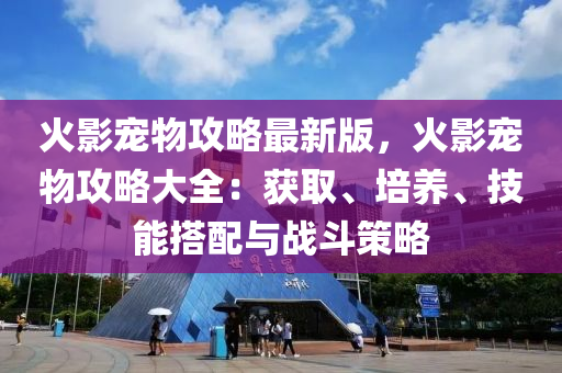 火影寵物攻略最新版，火影寵物攻略大全：獲取、培養(yǎng)、技能搭配與戰(zhàn)斗策略