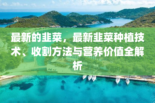 最新的韭菜，最新韭菜種植技術(shù)、收割方法與營養(yǎng)價(jià)值全解析