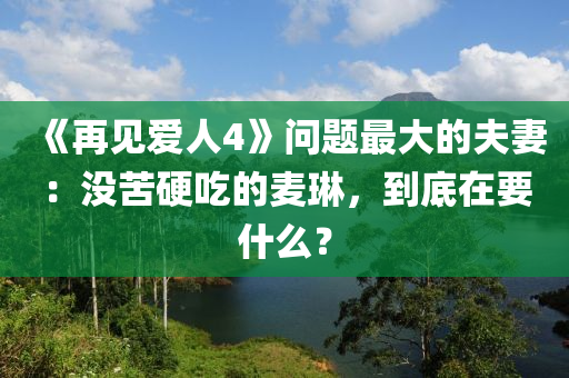 《再見愛人4》問題最大的夫妻：沒苦硬吃的麥琳，到底在要什么？
