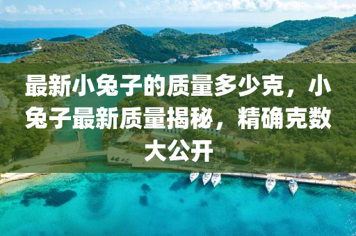 最新小兔子的質(zhì)量多少克，小兔子最新質(zhì)量揭秘，精確克數(shù)大公開