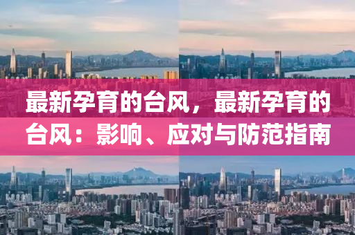 最新孕育的臺風，最新孕育的臺風：影響、應對與防范指南