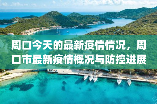 周口今天的最新疫情情況，周口市最新疫情概況與防控進展