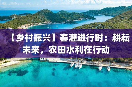 【鄉(xiāng)村振興】春灌進(jìn)行時(shí)：耕耘未來(lái)，農(nóng)田水利在行動(dòng)