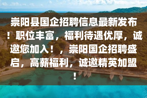 崇陽縣國企招聘信息最新發(fā)布！職位豐富，福利待遇優(yōu)厚，誠邀您加入！，崇陽國企招聘盛啟，高薪福利，誠邀精英加盟！