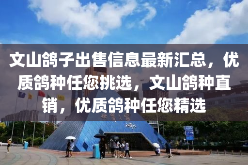 文山鴿子出售信息最新匯總，優(yōu)質(zhì)鴿種任您挑選，文山鴿種直銷，優(yōu)質(zhì)鴿種任您精選