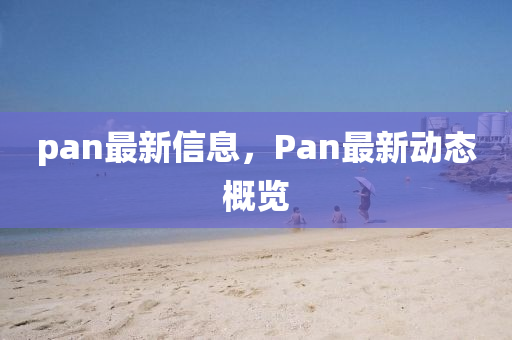 pan最新信息，Pan最新動(dòng)態(tài)概覽