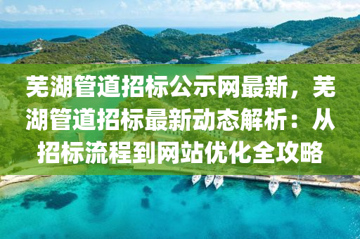 蕪湖管道招標公示網(wǎng)最新，蕪湖管道招標最新動態(tài)解析：從招標流程到網(wǎng)站優(yōu)化全攻略