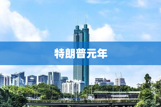 特朗普元年