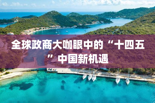 全球政商大咖眼中的“十四五”中國(guó)新機(jī)遇